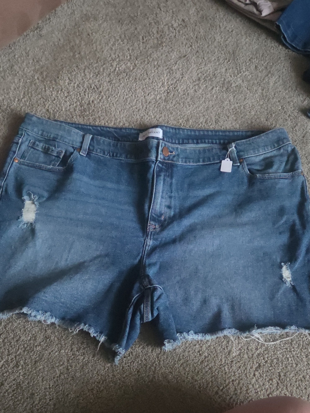 Lane Bryant Blue Denim Frayed Hem Jean Shorts